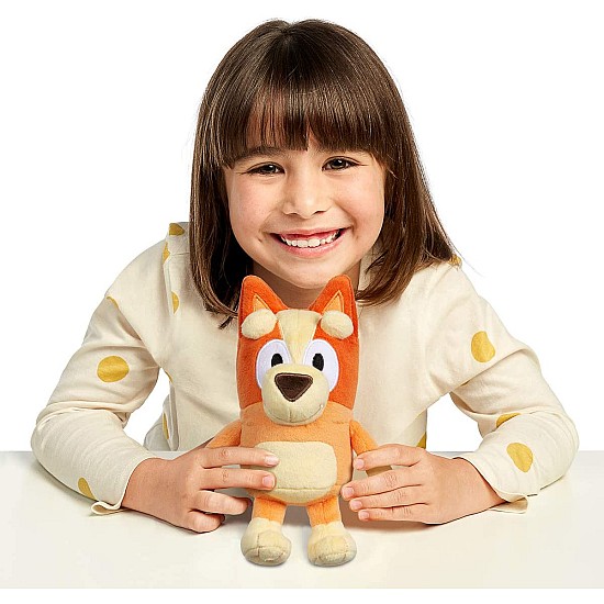 JUCARII PLUS SET 2 JUCARII BINGO SI BLUEY