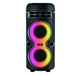 Boxă portabilă BT 2446 cu microfon și difuzoare de 4 inch