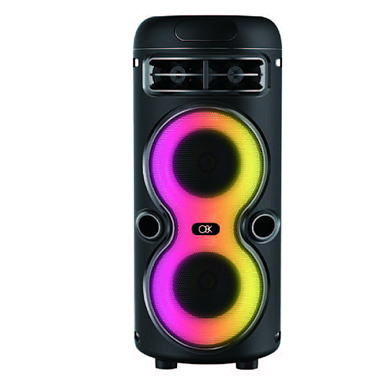 Boxă portabilă BT 2446 cu microfon și difuzoare de 4 inch