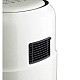 Friteuza cu aer cald 4.9L AirFryer RAF R5361B, gătire sănătoasă și rapidă