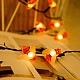 Set 2 Instalatii cu incarcare solara 50 led , albinute  diverse culori