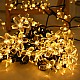 Set 2 Instalatii cu incarcare solara 50 led , flori  diverse culori