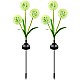 Set 2  Lampi Solare Decorative cu Flori de Păpădie 