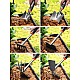 Set 7 unelte de gradina pentru plantare, prelucrare sol si ingrijire plante